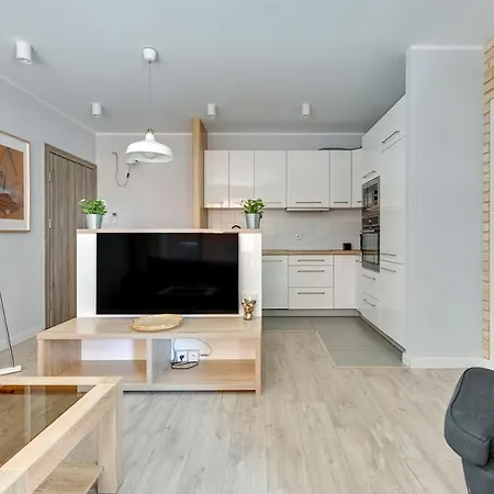 Lejlighed Aura - Riverside & Parking By Downtown Gdańsk